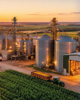 banner blog lacerda agro